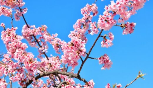 【コロナウィルスの影響】住宅ローンの滞納