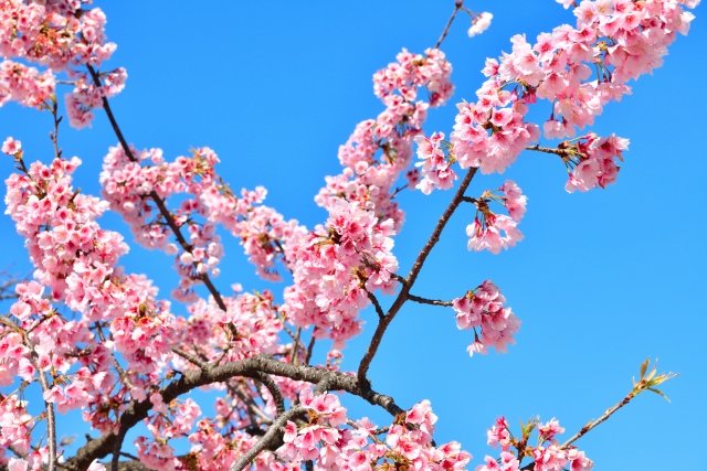 【コロナウィルスの影響】住宅ローンの滞納